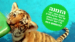 אבי אגמ פרסום שיווק יחסי ציבור