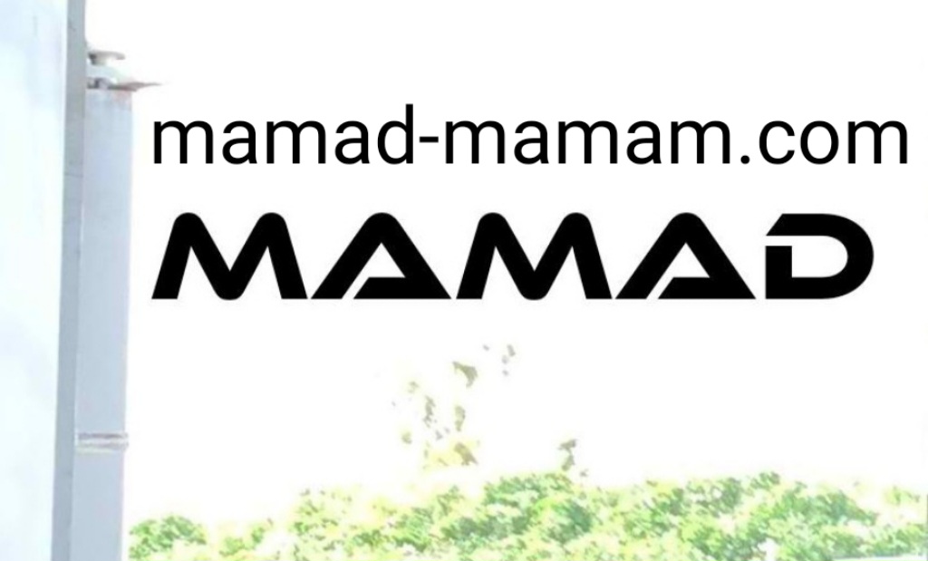 פיקוח בניה לממדים 