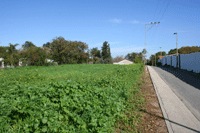 ���� �����