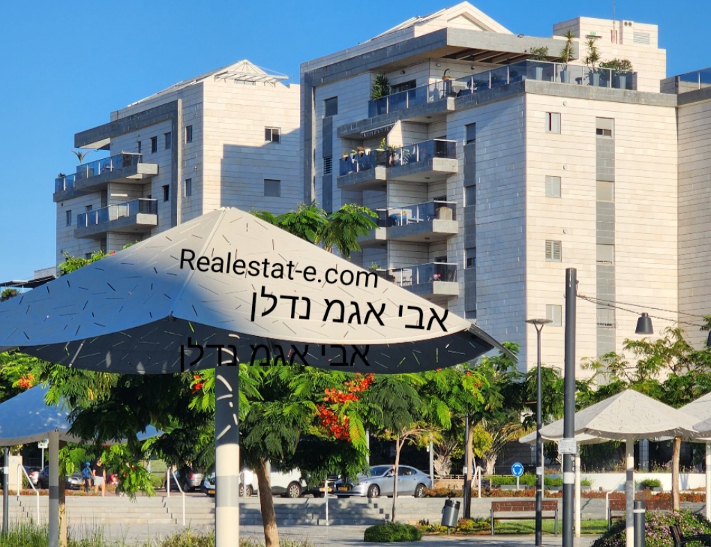אבי אגמ תיווך נדלן